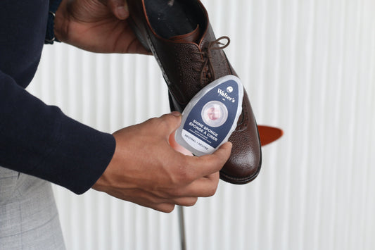 Walter's-shoe-shine-sponge